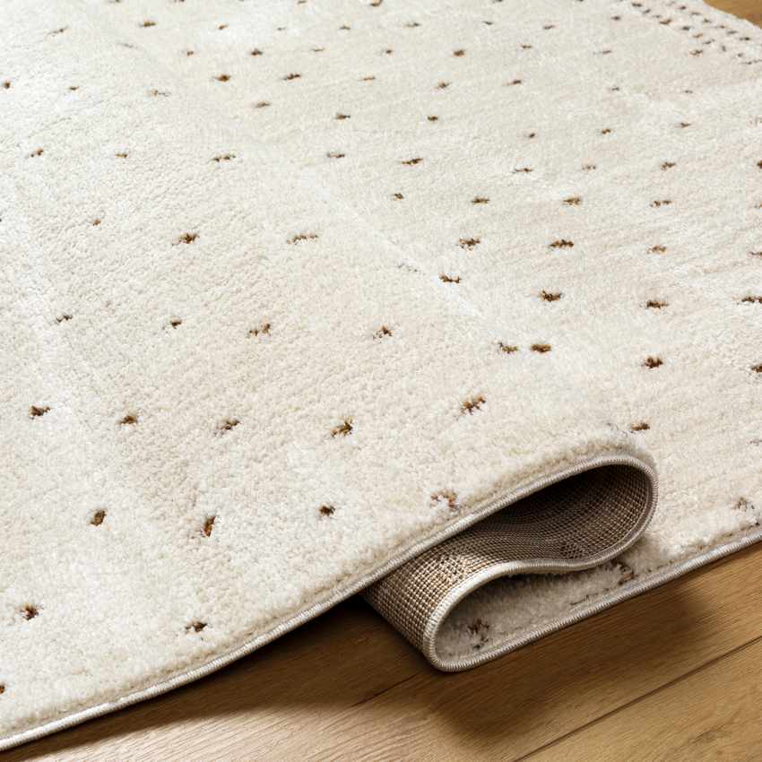 Monisha Modern Ivory/Brown Area Rug