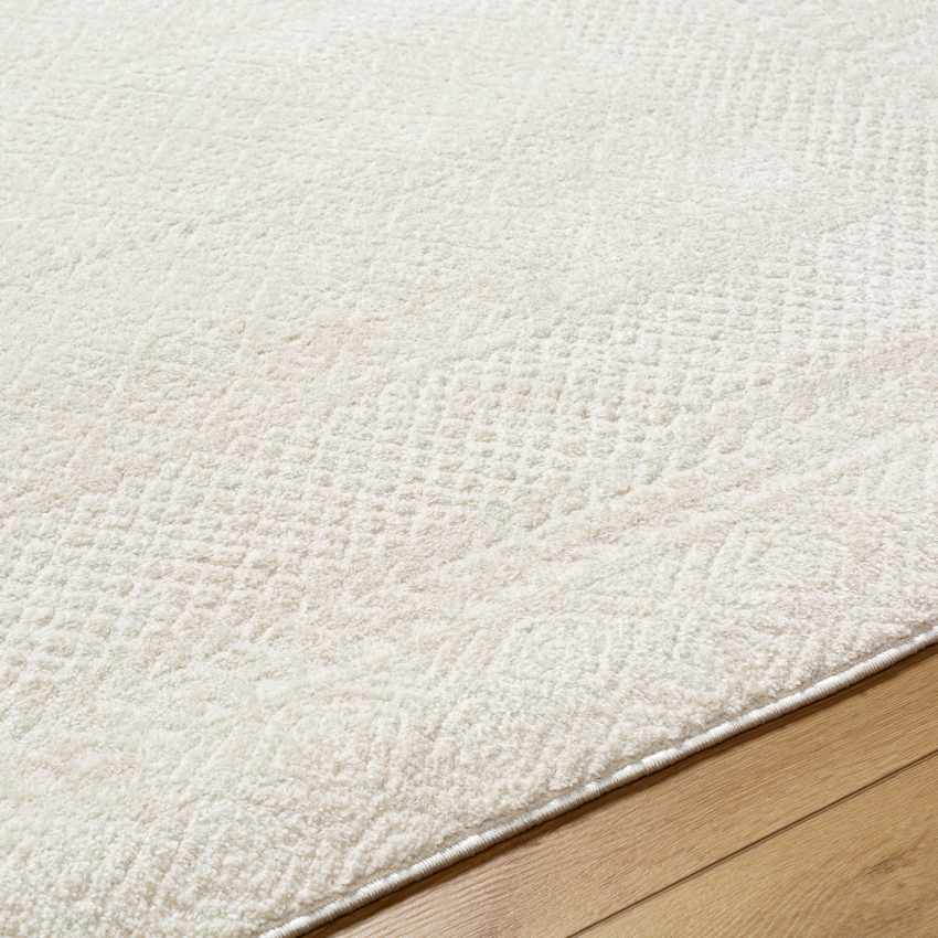 Vada Modern Ivory/Off-White Area Rug