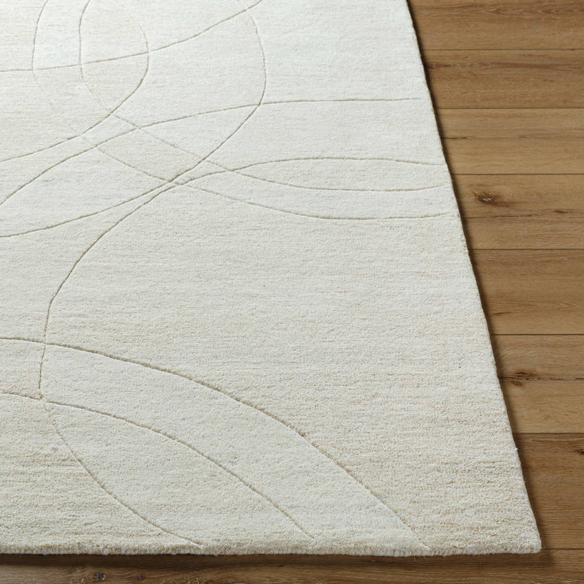 Besancon Modern Light Silver Area Rug