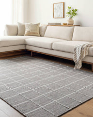 Ishaq Cottage Grey Area Rug