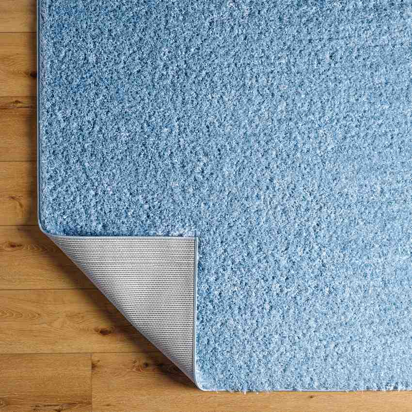 Charon Shag Denim Area Rug