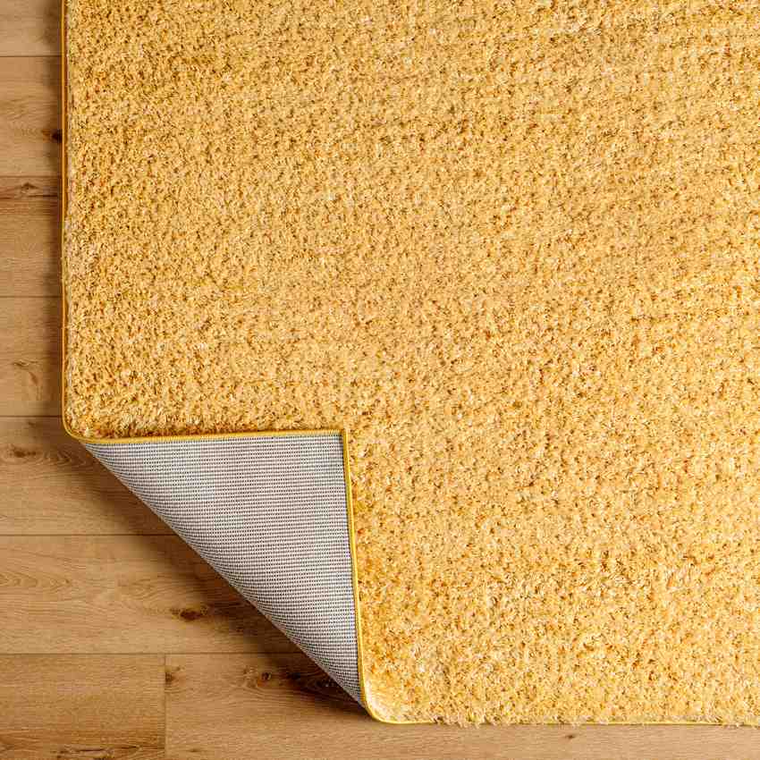 Charon Shag Saffron Area Rug