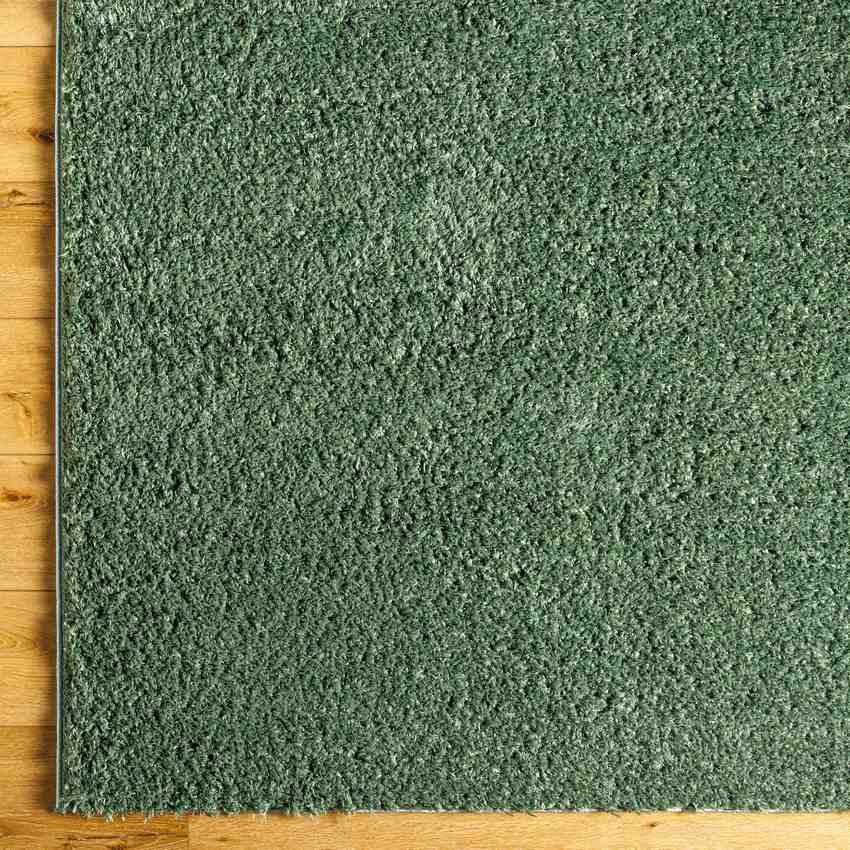 Charon Shag Dark Green Area Rug