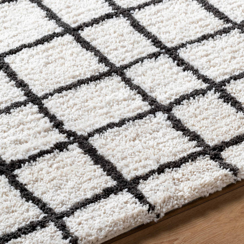 Alorton Modern White/Black Area Rug