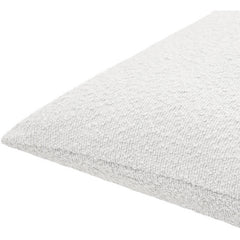 Cleophus Light Silver Pillow Cover