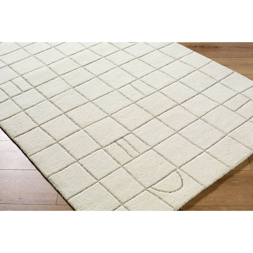 Leshawn Modern Light Silver Area Rug