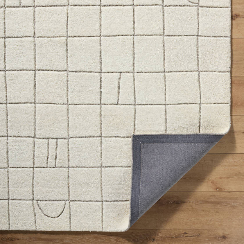 Leshawn Modern Light Silver Area Rug