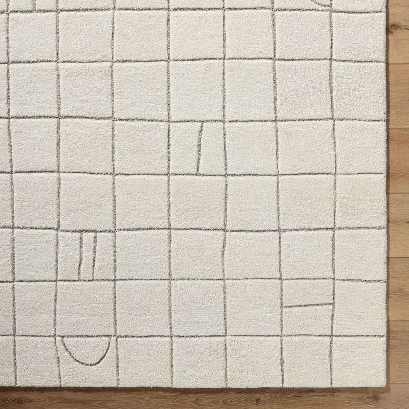 Leshawn Modern Light Silver Area Rug