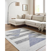 Plasmolen Modern Light Gray Area Rug