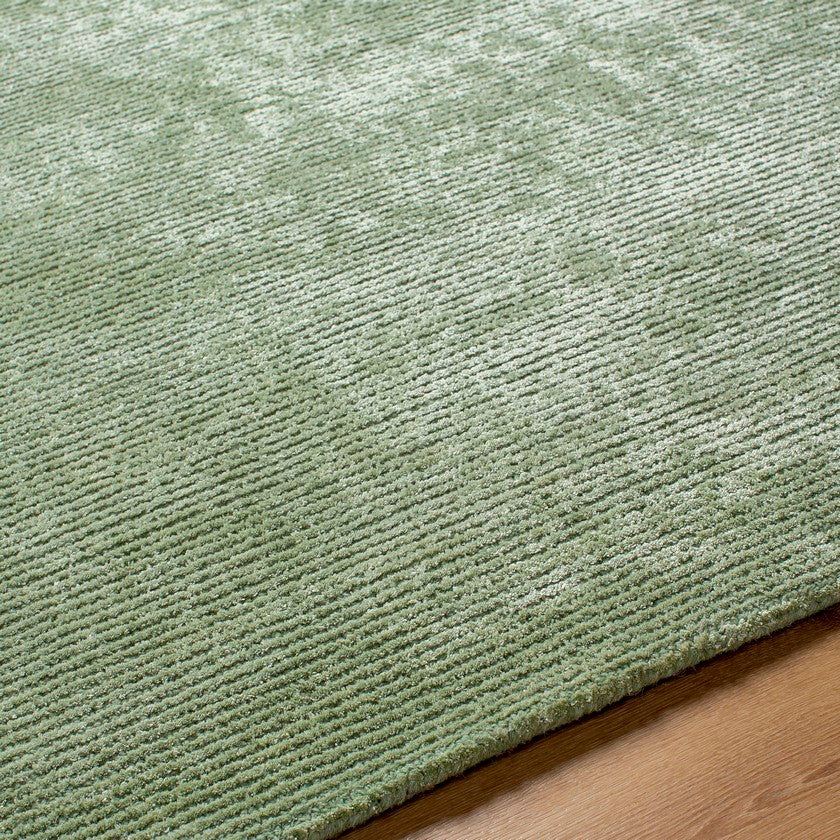 Jett Solid and Border Moss Area Rug