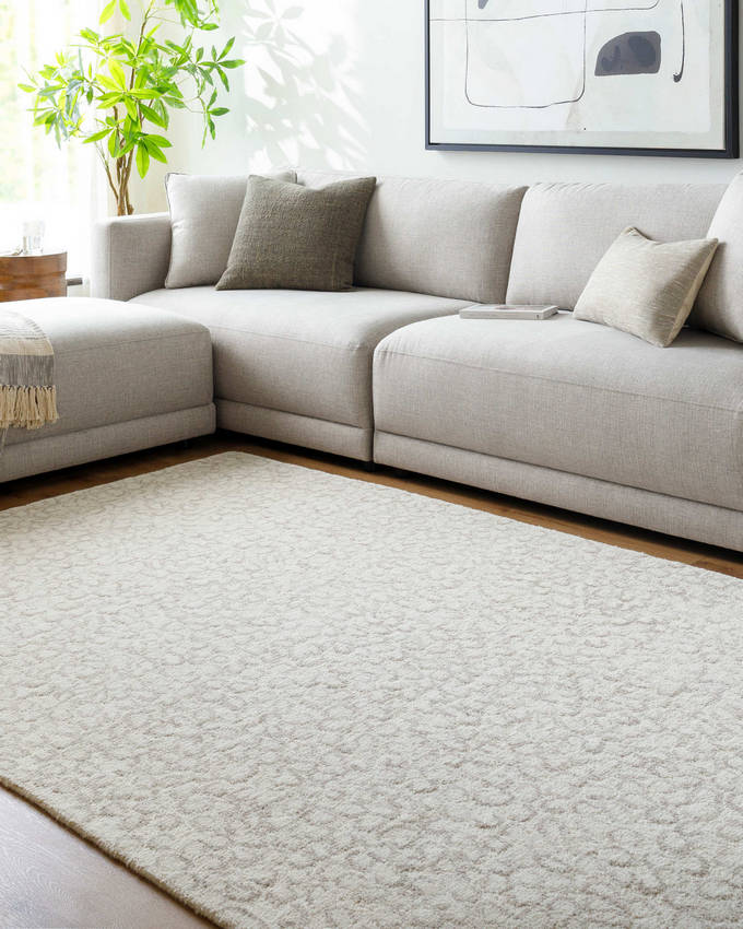 Shiann Modern Light Silver Area Rug