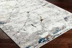 Ricci Modern Medium Gray Area Rug