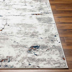 Ricci Modern Medium Gray Area Rug