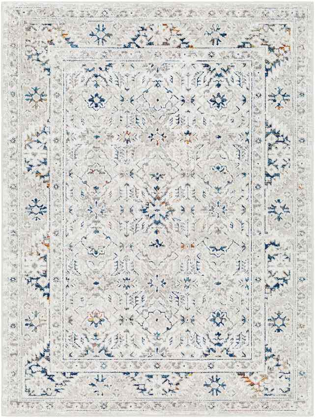 Quince Traditional Light Gray Area Rug