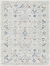 Quince Traditional Light Gray Area Rug