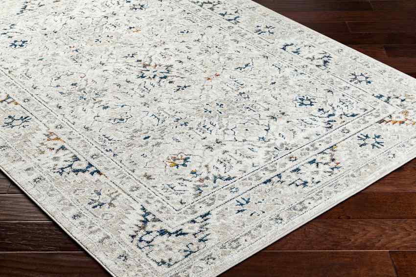Quince Traditional Light Gray Area Rug