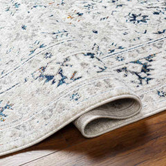 Quince Traditional Light Gray Area Rug