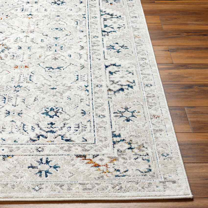 Quince Traditional Light Gray Area Rug
