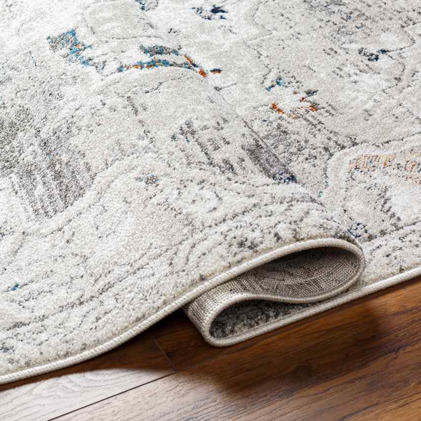 Shaquita Modern Medium Gray Area Rug