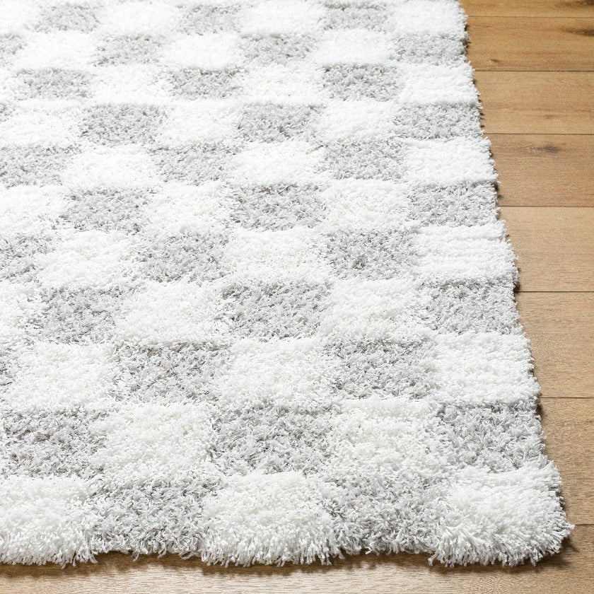 Bondurant Modern Light Gray Area Rug