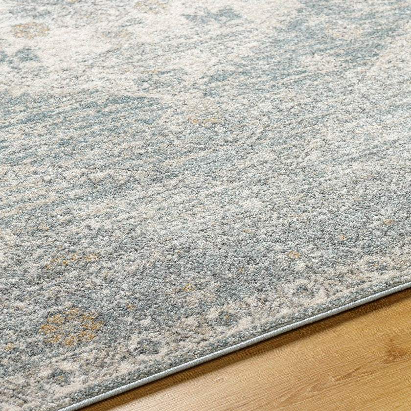 Shaila Traditional Denim/Charcoal Area Rug