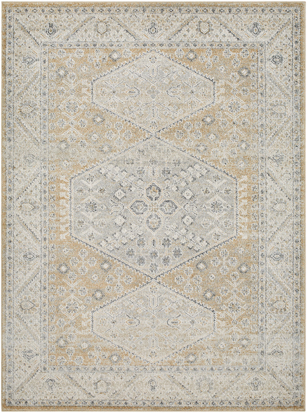 Demarco Traditional Saffron Area Rug