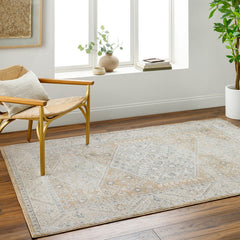 Demarco Traditional Saffron Area Rug