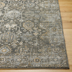 Catarino Traditional Black/Light Gray Area Rug