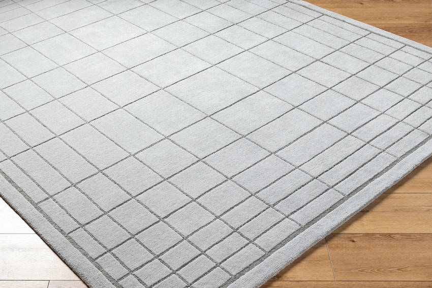 Darlena Modern Medium Gray Area Rug