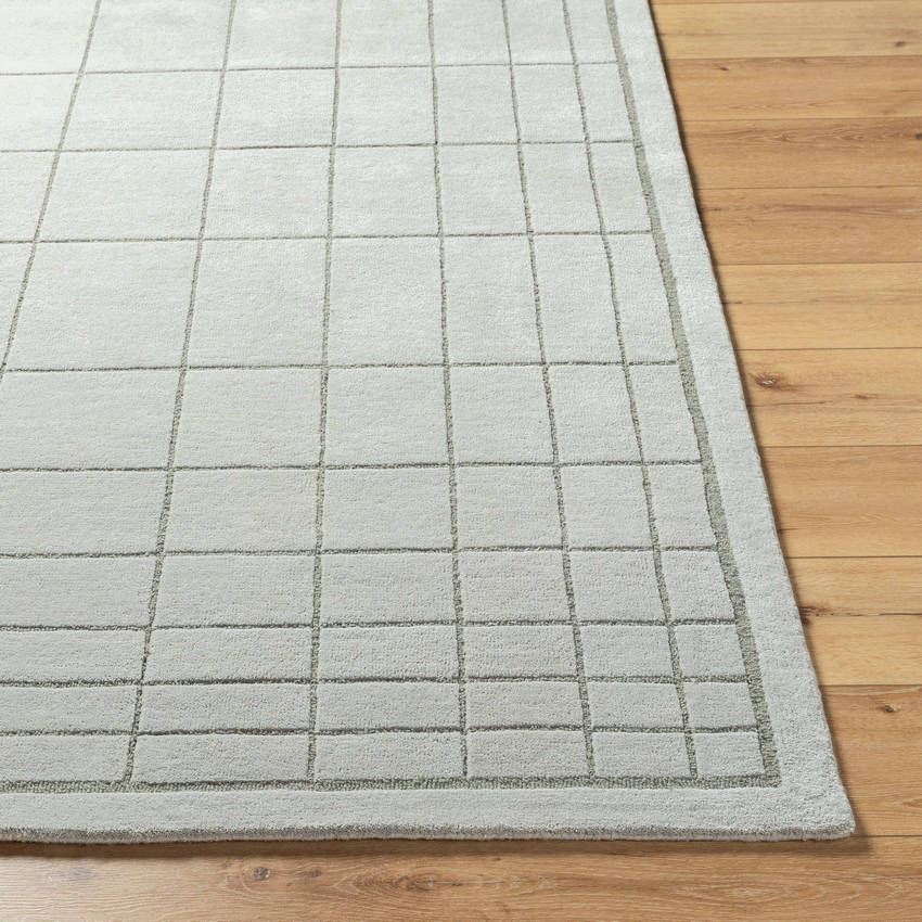 Darlena Modern Medium Gray Area Rug
