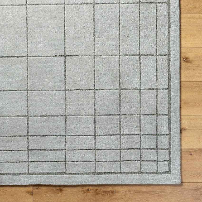 Darlena Modern Medium Gray Area Rug