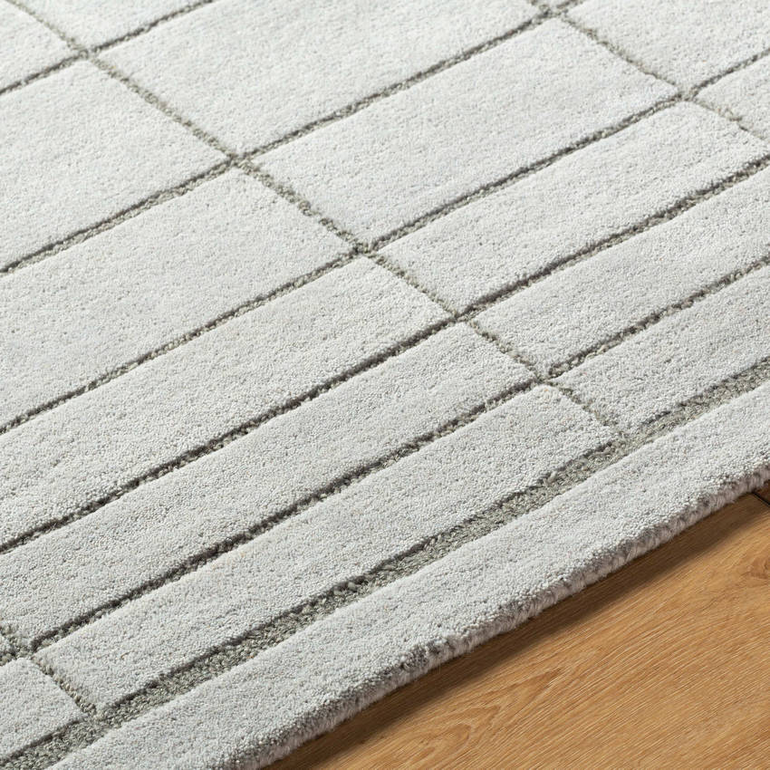 Darlena Modern Medium Gray Area Rug