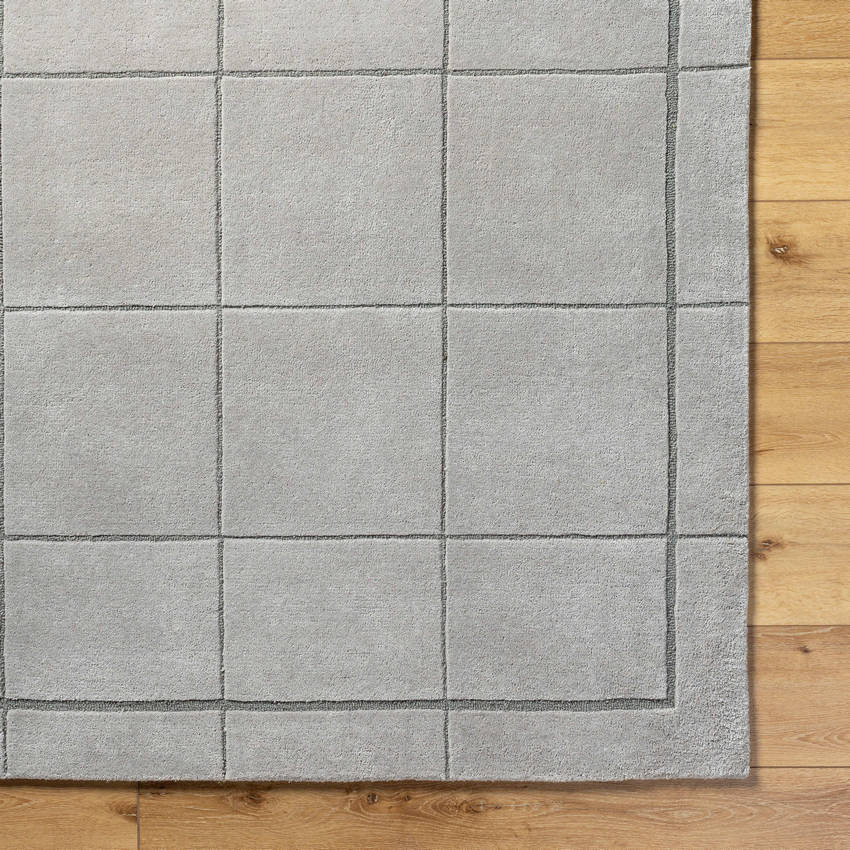 Isai Modern Gray Area Rug