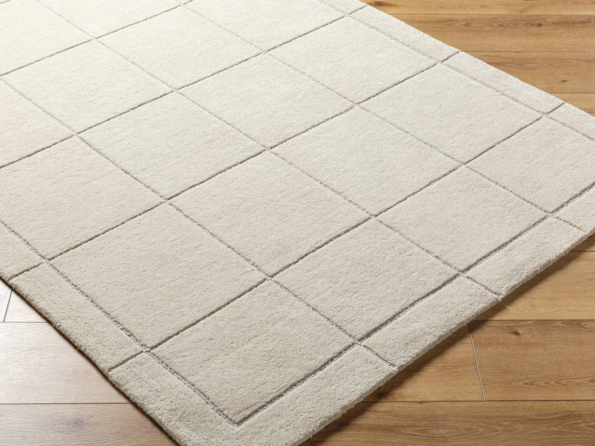 Isai Modern Light Beige Area Rug