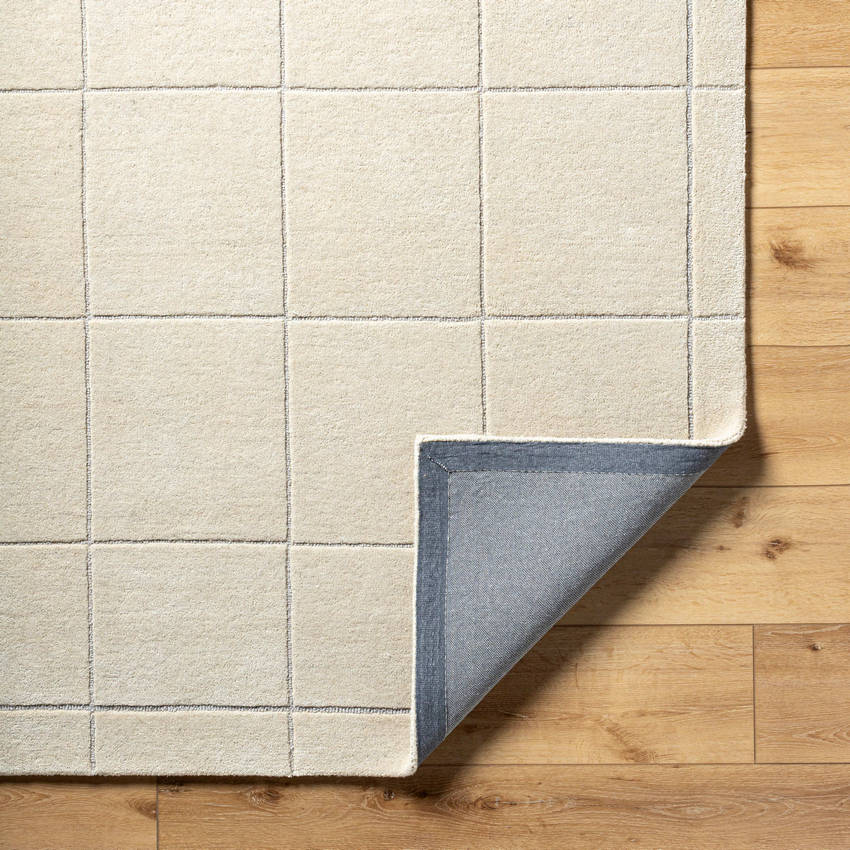 Isai Modern Light Beige Area Rug