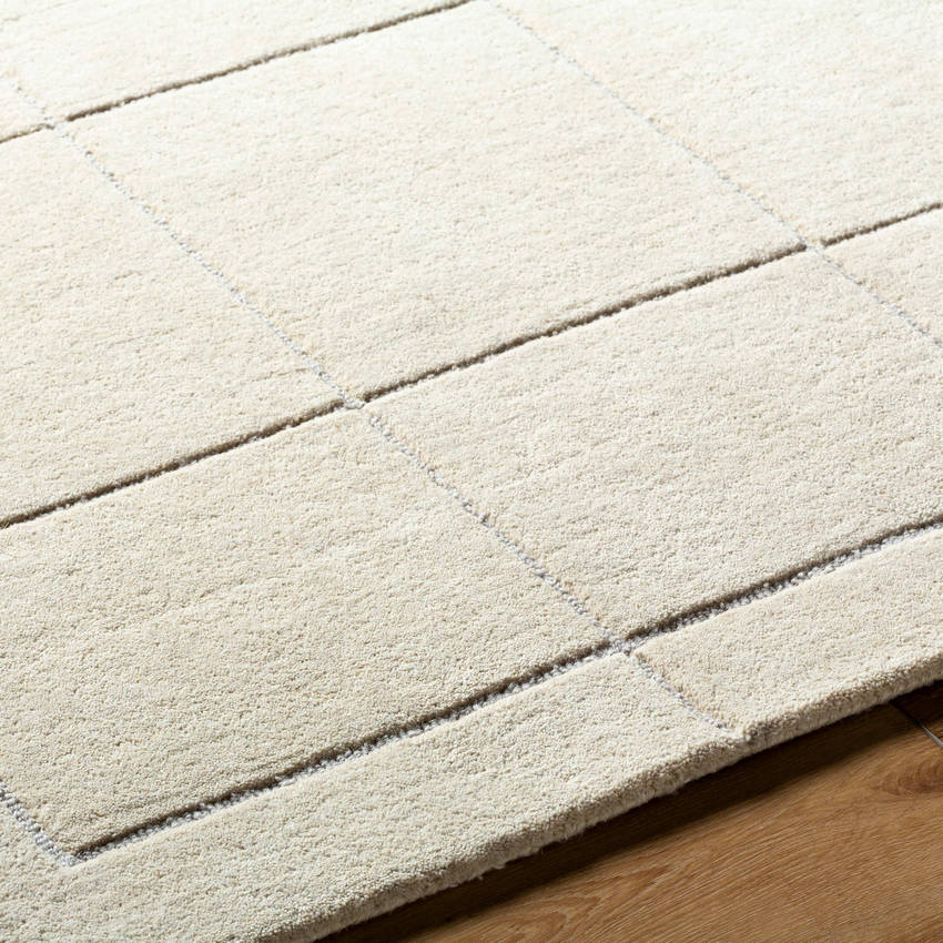 Isai Modern Light Beige Area Rug