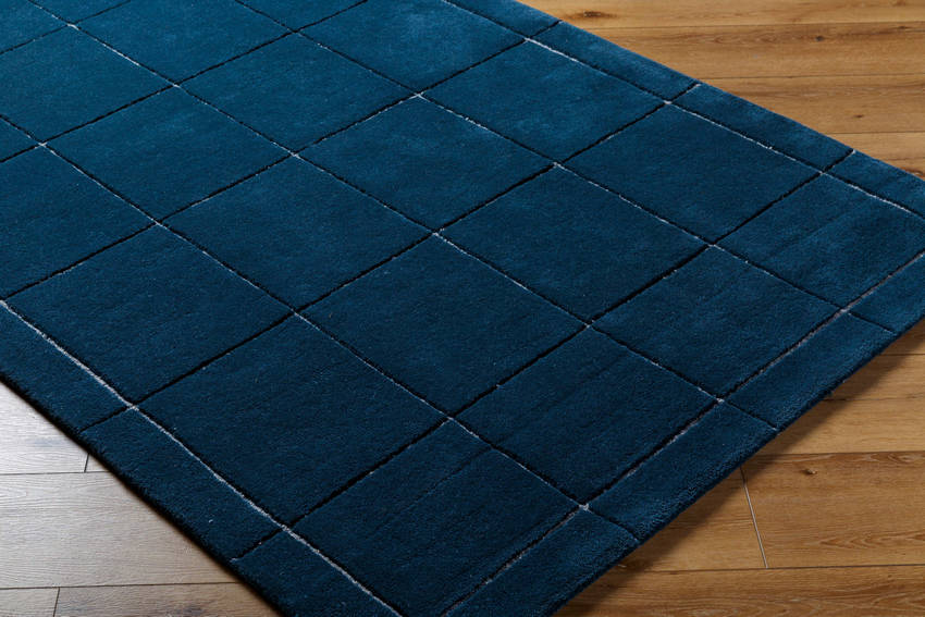 Isai Modern Deep Teal Area Rug