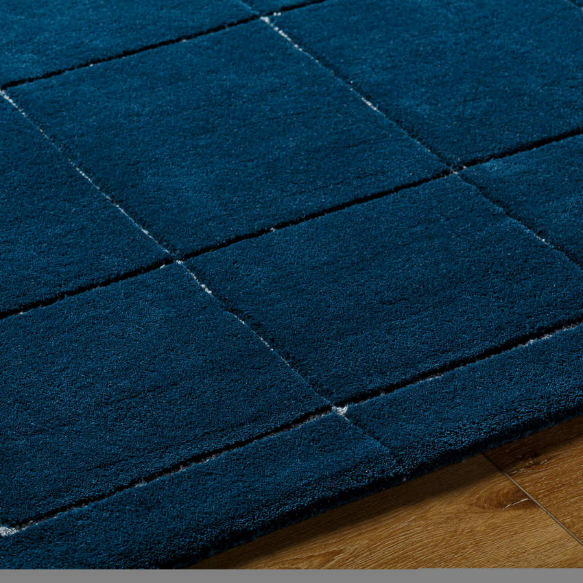 Isai Modern Deep Teal Area Rug