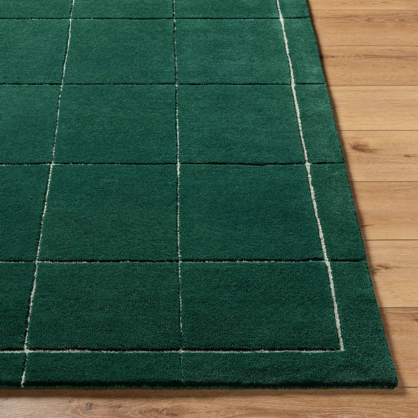 Isai Modern Dark Green Area Rug
