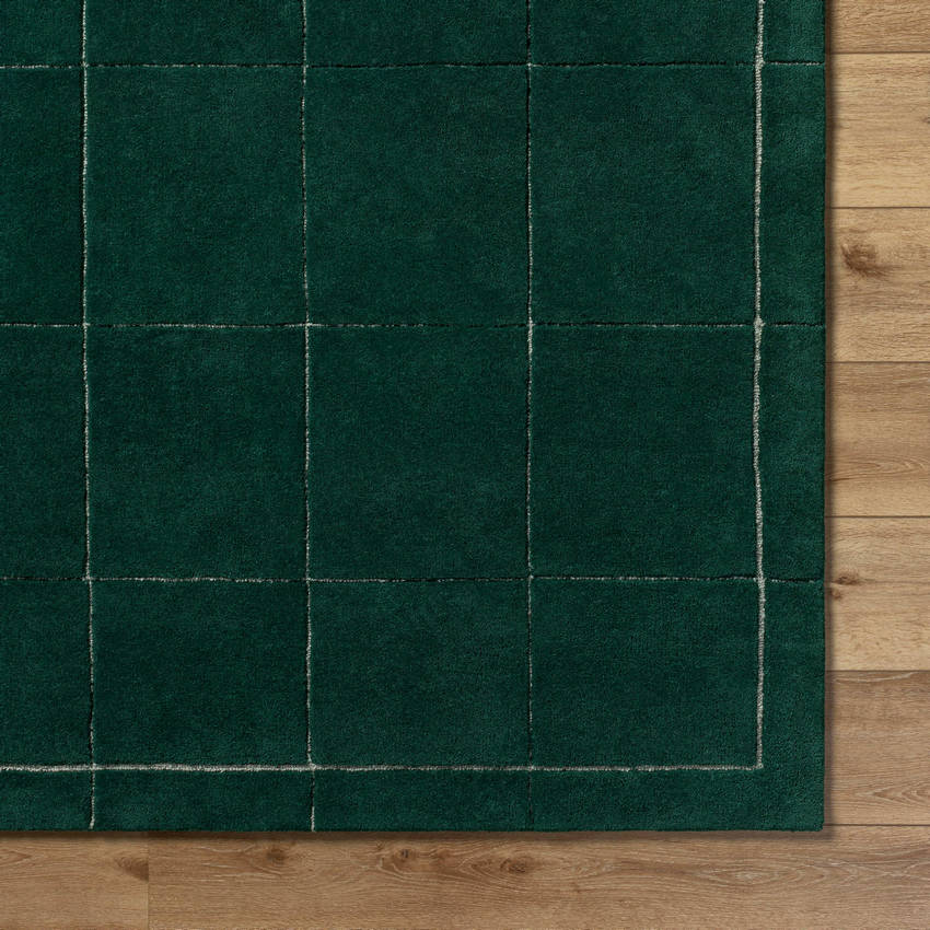 Isai Modern Dark Green Area Rug