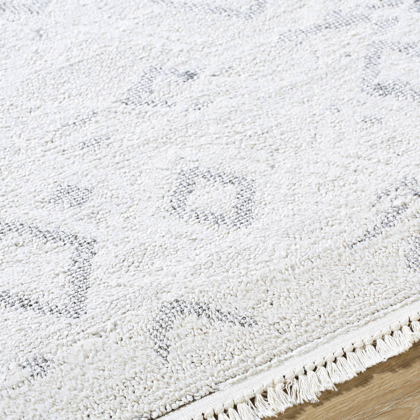 Monesha Modern Ivory/Black Area Rug