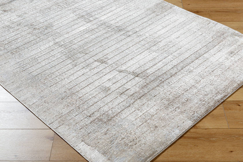 Shawanna Modern Light Brown Area Rug