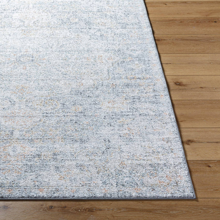 Olivia Traditional Blue Area Rug