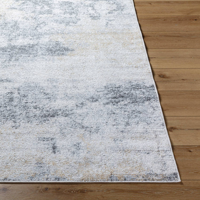 Parks Modern Charcoal/Amber Area Rug