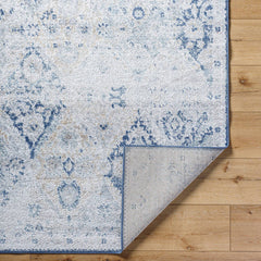 Emilly Traditional Blue Area Rug
