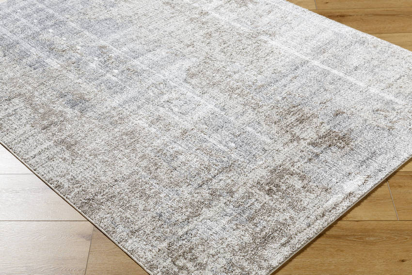 Rollie Modern Charcoal/Light Brown Area Rug