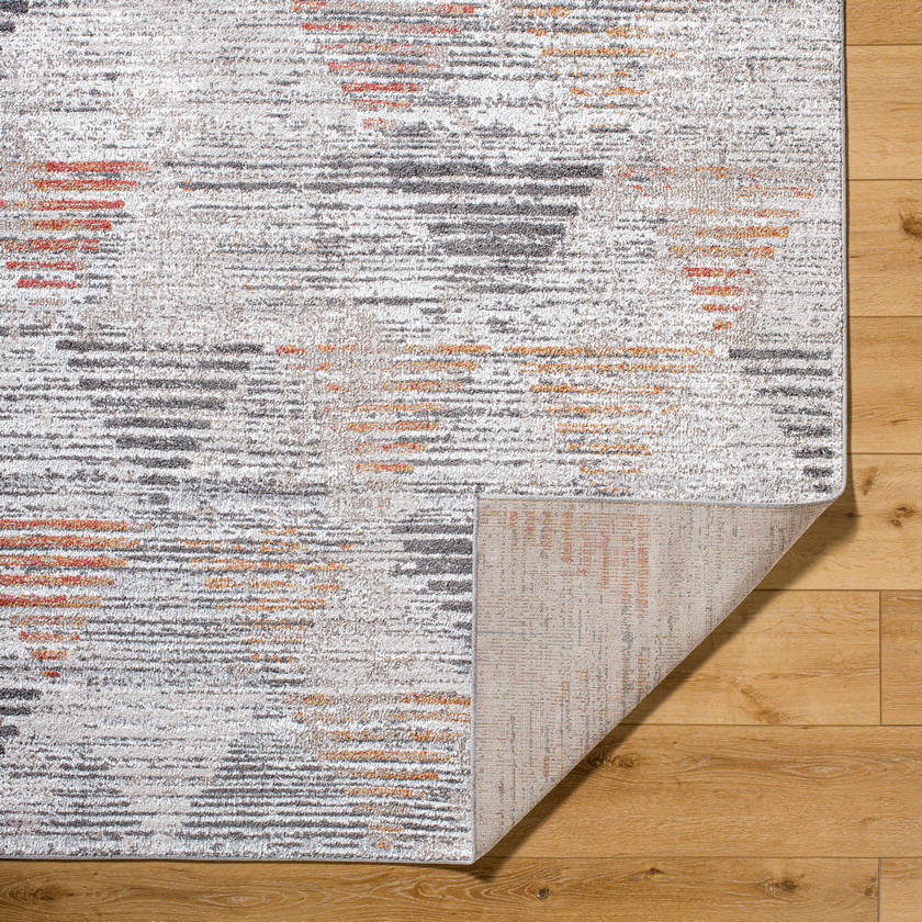 Robina Modern Charcoal Area Rug