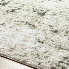 Jeaninne Solid and Border Dark Olive Area Rug