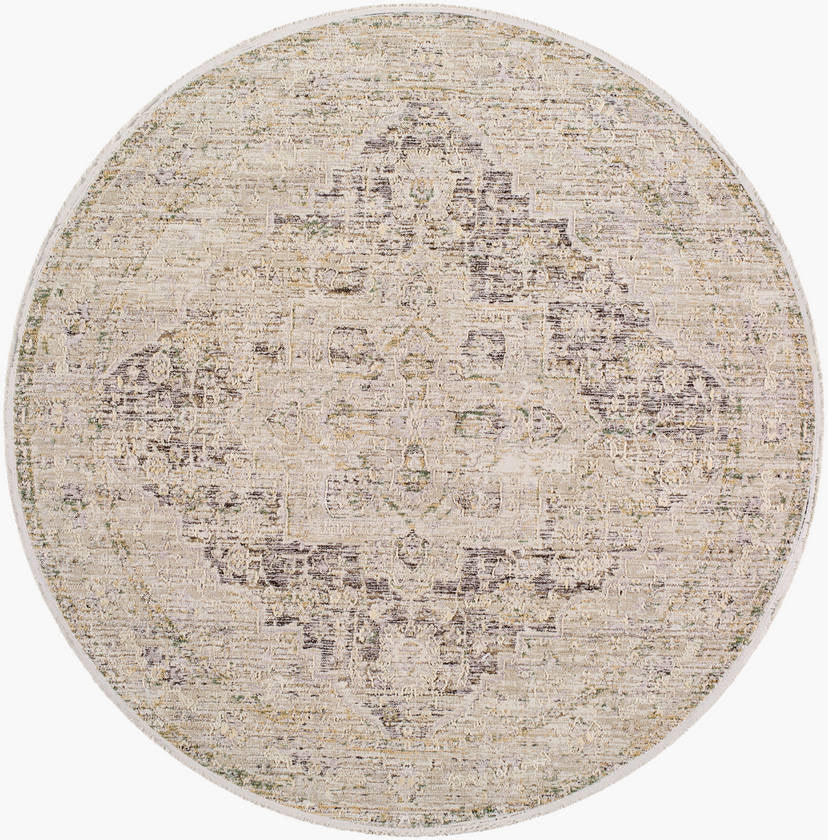 Sandrea Traditional Light Brown Area Rug
