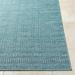 Benjaman Bohemian Dusty Sage Area Rug